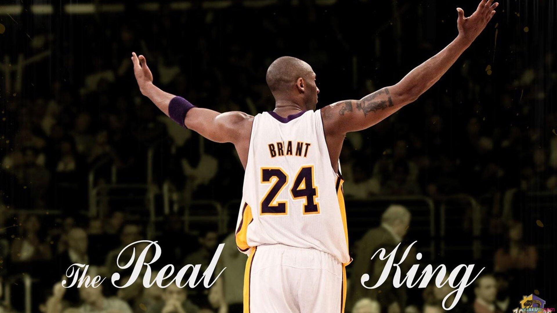 熊猫体育下载-疆场烽烟起，爱德华兹一剑封喉，新疆队强行终结黄蜂不败神话